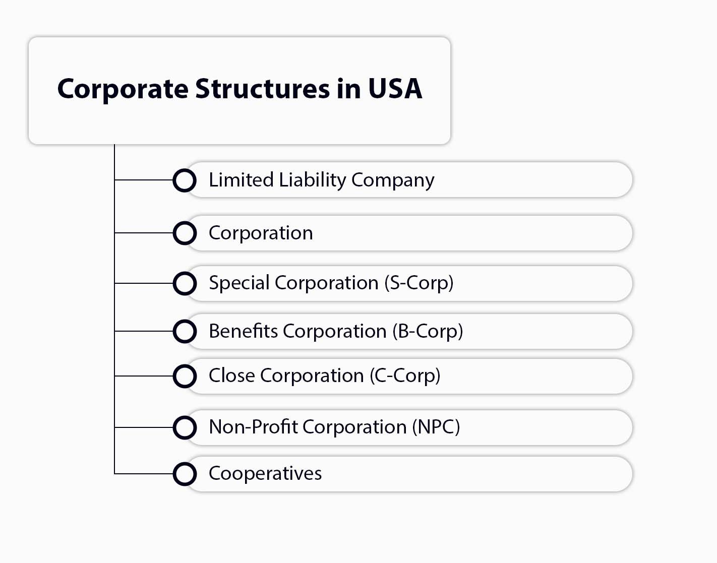 List of of different business structures in the USA